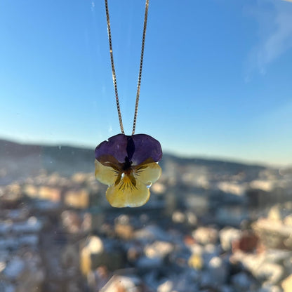 VILLA FIOL smykke - ekte tørket stemorsblomst - Smykke KNASK