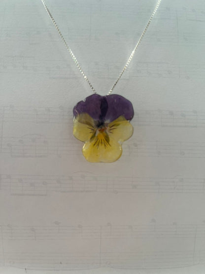 VILLA FIOL smykke - ekte tørket stemorsblomst - Smykke KNASK